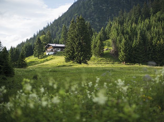 Summer in the Alpine town of Bludenz