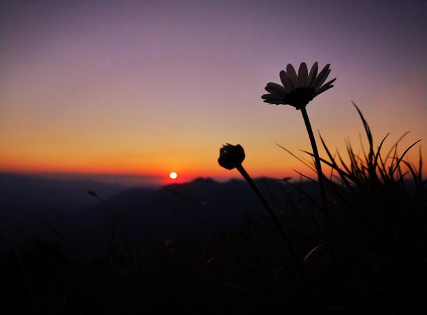 Picknick-Abendwanderung mit Blick auf die Alpenstadt Bludenz